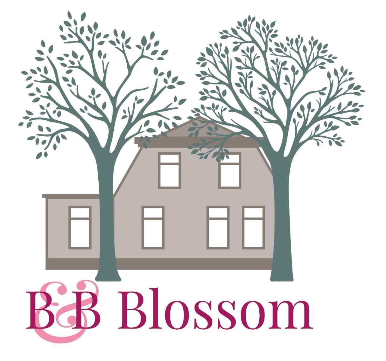 B&B Blossom Lisse Extérieur photo